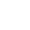 ibm-sec-icon1